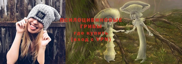 не бодяженный Гусиноозёрск