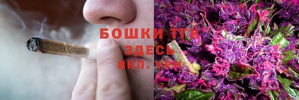 тгк Дмитровск